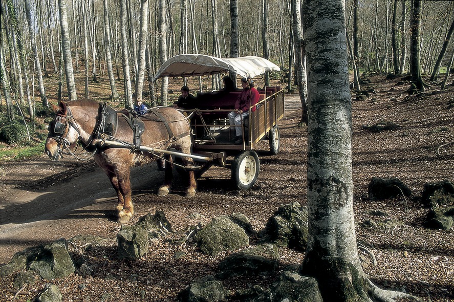 A carriage ride in La Fageda d'en Jordà In a forest near the town Interior of the Barcelona Maritime Museum. Arches of the cloister of the Castle Monastery of Sant Miquel dEscornalbou Main façade of Barcelona Cathedral Suda Castle and Seu Vella El Celler de l'Aspic restaurant in Falset Façade of the Geology museum, by Antoni Rovira i Trias Monumental fountain and doorway to the church of Vallbona de les Monges monastery Boats in the port at dusk 2 Attic of Antoni Gaudís Casa Batlló. Apse of the church of Sant Feliu Doorway of the church of Santa Maria. Royal Monastery of Santa Maria de Poblet View of the town and Sierra de Mussara, in the Prades mountains Boiled butifarra (Catalan sausage) with beans. Giants during the street parade at Corpus Christi Port of Aiguablava. Boat in the port Confit of pork Wellness. Peralada Wine Spa. Branches with the strawberry tree fruit (Arbutus unedo). Yachts moored in the port of Vilanova i la Geltrú Sailing boat masts reflected in the water of the port Altarpiece of Santa Maria de Tots els Sants (1400). Pere Serra. Monastery of Sant Cugat dOctavià Cloister of Sant Domènec in the old convent of Roser dels Agustins Library of Catalonia, in the old hospital of Santa Creu. Dining area in the Catacurian hotel Fountains at Montjuïc Masía in the Montseny massif Waterfall in the Montseny Natural Park. La Fageda d'en Jordà. General view of the port at Roses Wellness. Bottles and glass of wine Interior of the Codorniu cellars Gema Monroy, from Traveller magazine, preparing crema catalana during a cookery in the Empordà Gastronomic Classroom Night view of the Mas de Torrent Hotel Cabos atados a un proíz en el Puerto del Estartit Transept of the church of the Royal Monastery of Santa Maria de Vallbona. Quad bikes. Sau reservoir Church of Sant Salvador de Granyanella Museu Municipal Josep Aragay Tomb of the church of Sant Joan de les Abedesses monastery Godfather during th